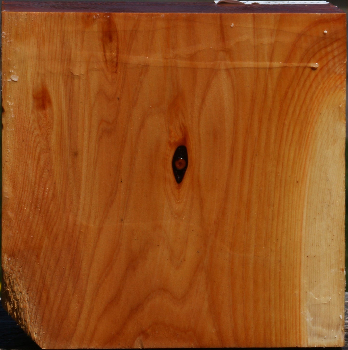 Juniper Bowl Blank