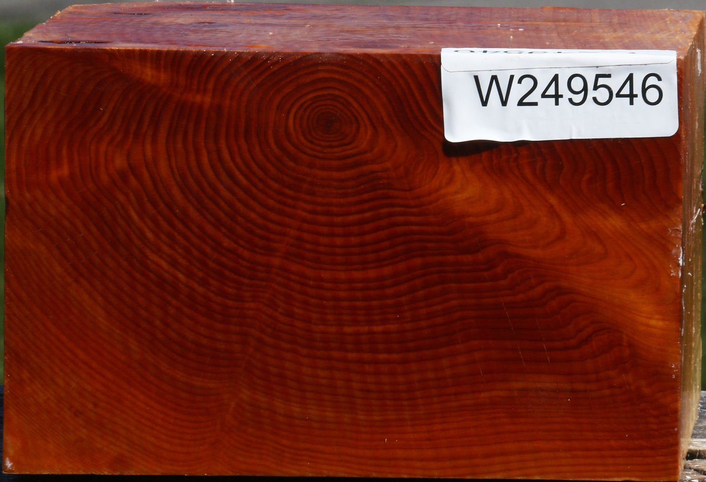 Juniper Bowl Blank