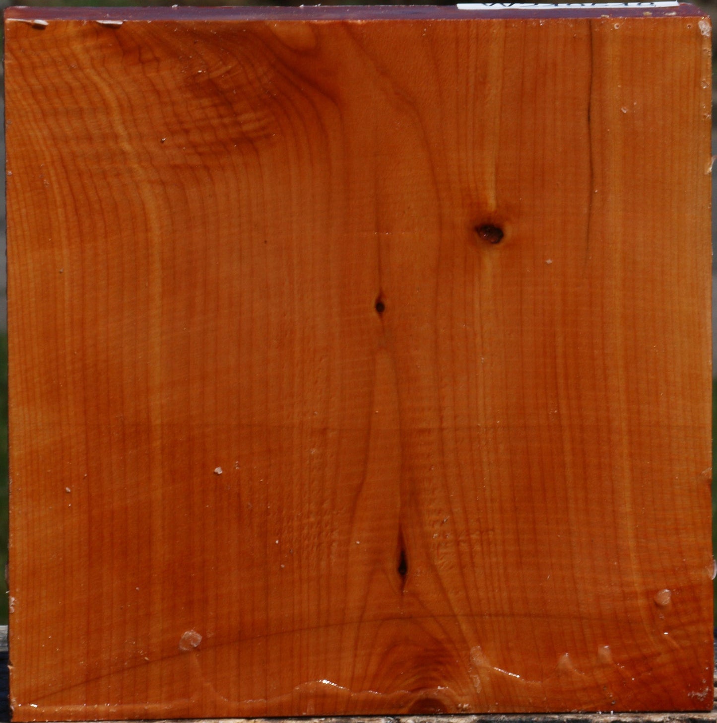 Juniper Bowl Blank