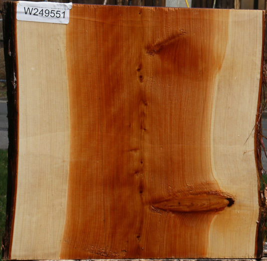 Juniper Live Edge Platter Blank