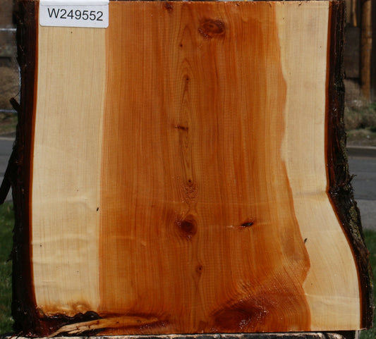 Juniper Live Edge Platter Blank