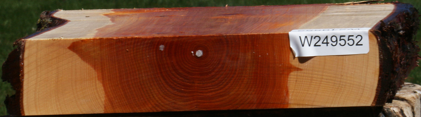 Juniper Live Edge Platter Blank