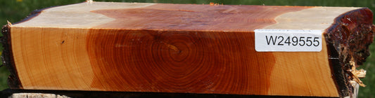 Juniper Live Edge Platter Blank