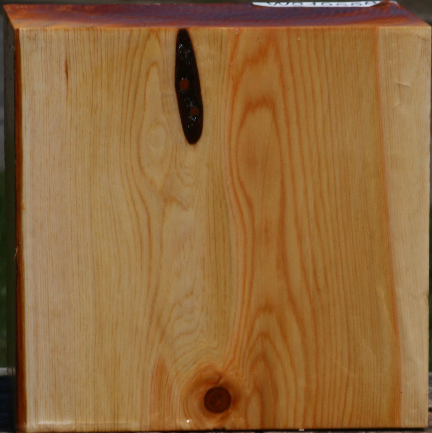 Juniper Bowl Blank