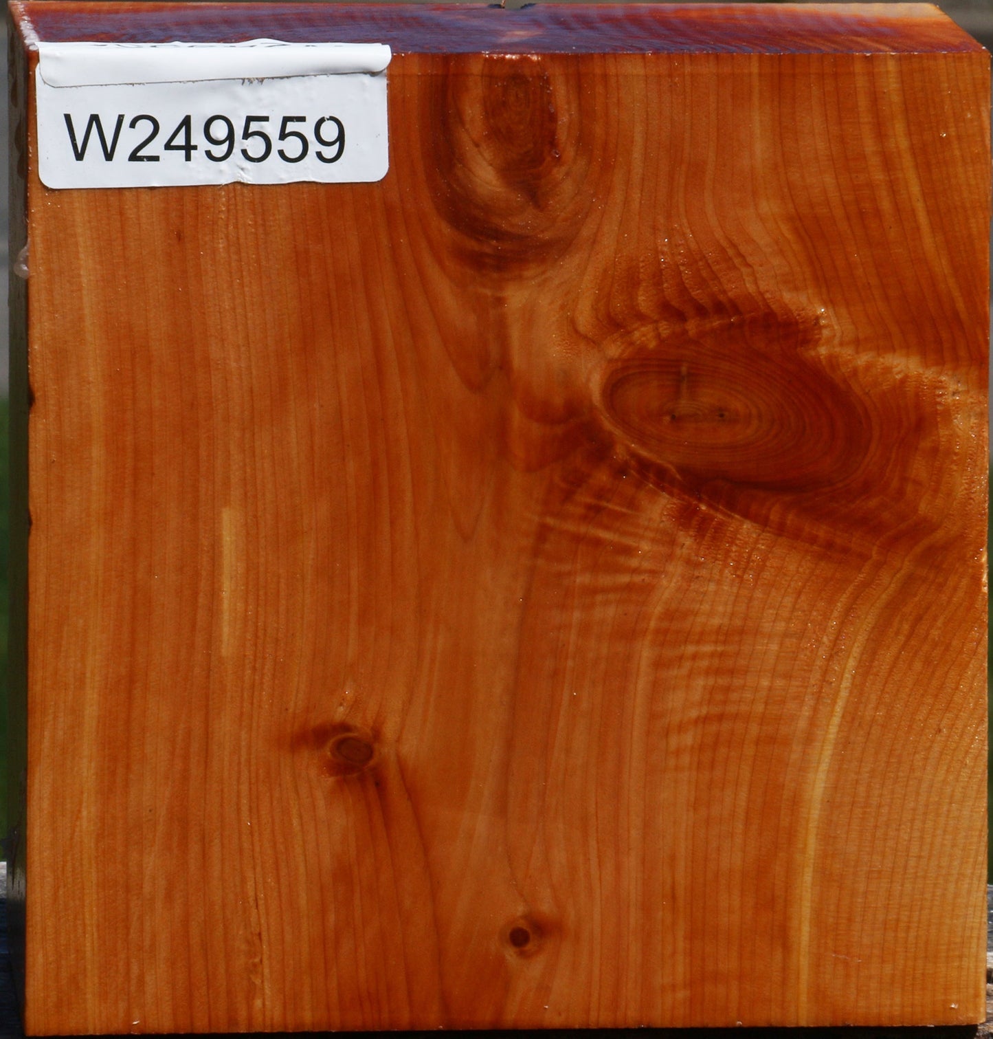 Juniper Bowl Blank