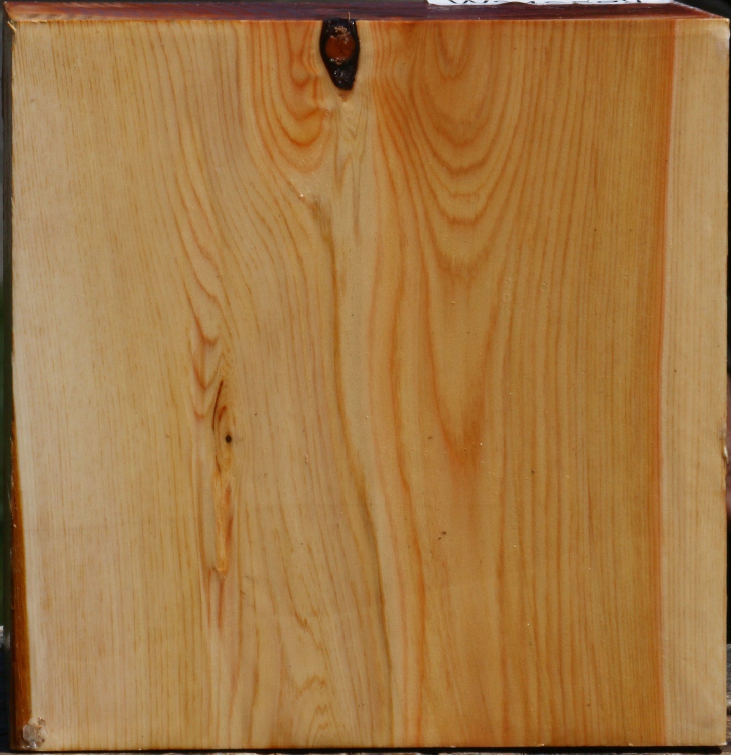 Juniper Bowl Blank