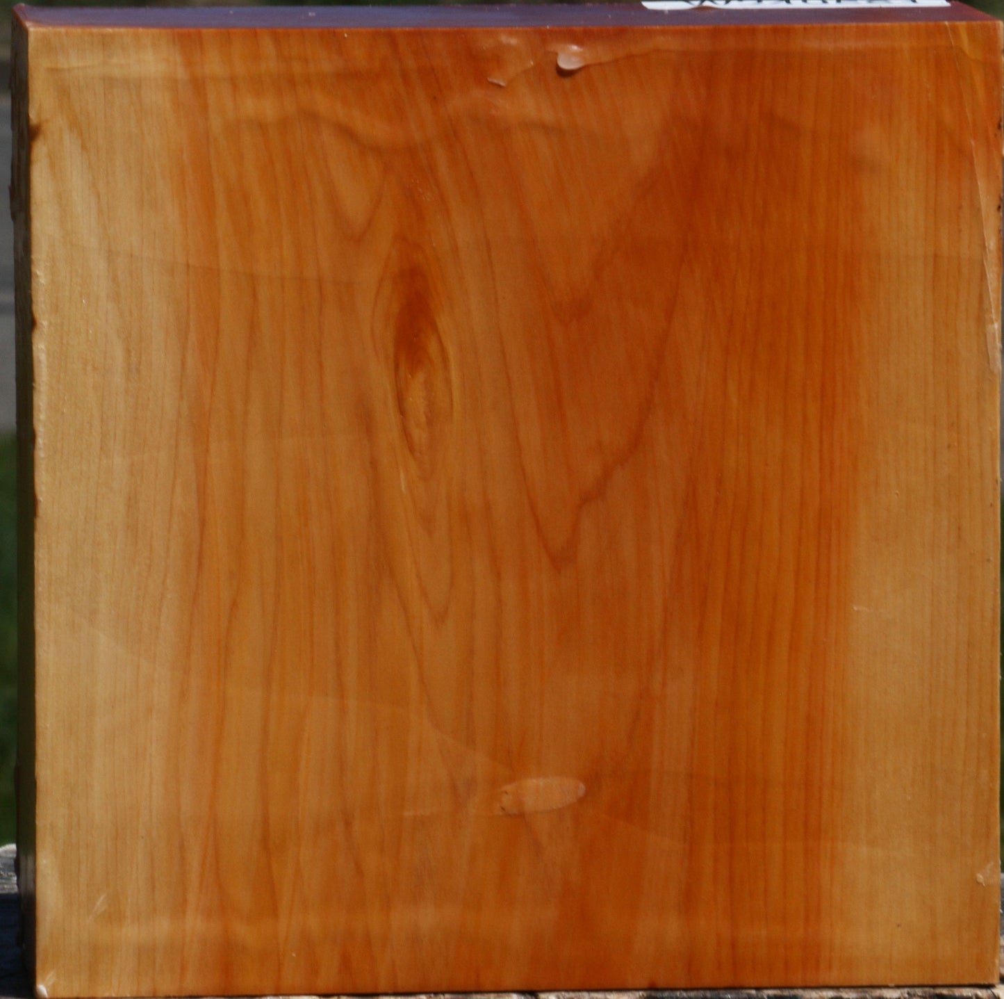 Juniper Bowl Blank