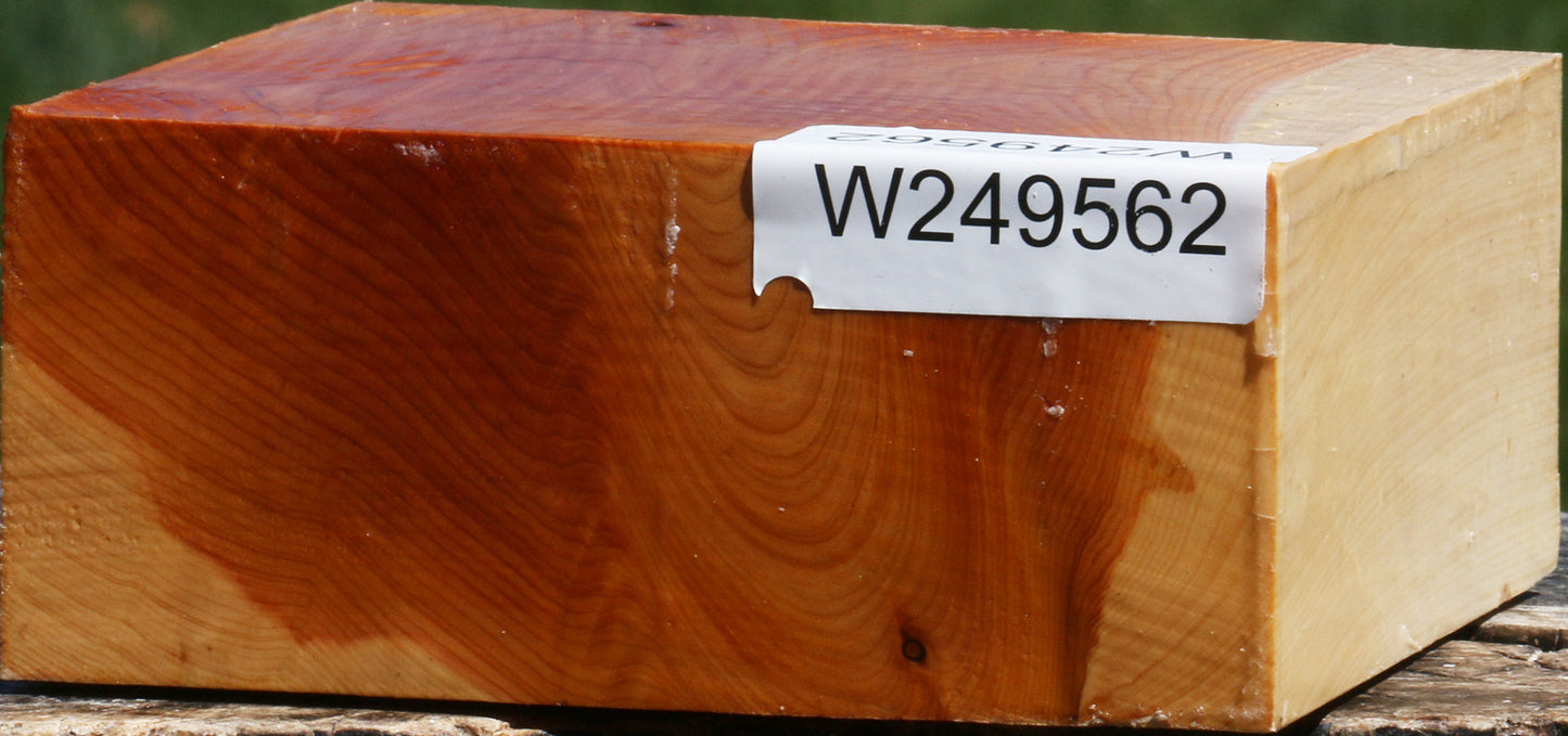 Juniper Bowl Blank
