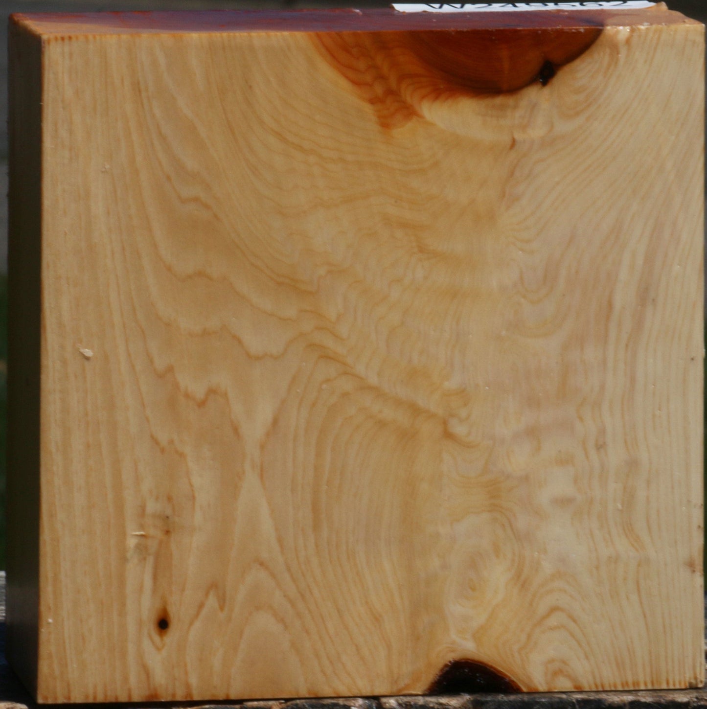 Juniper Bowl Blank