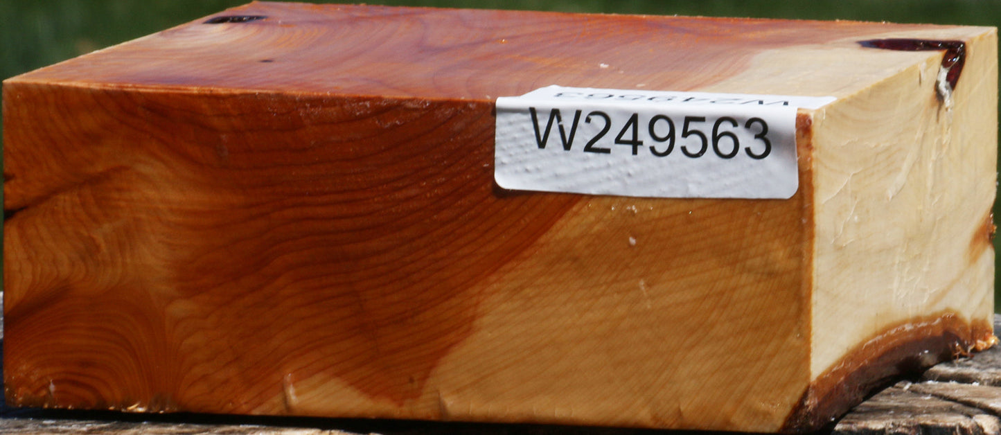 Juniper Bowl Blank