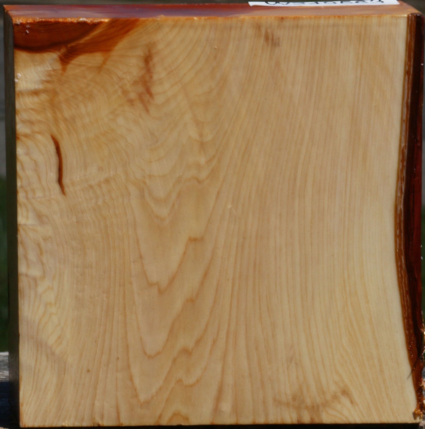 Juniper Bowl Blank