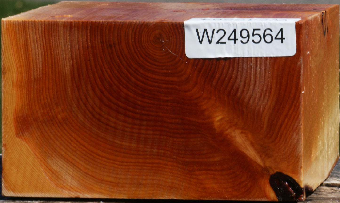 Juniper Bowl Blank