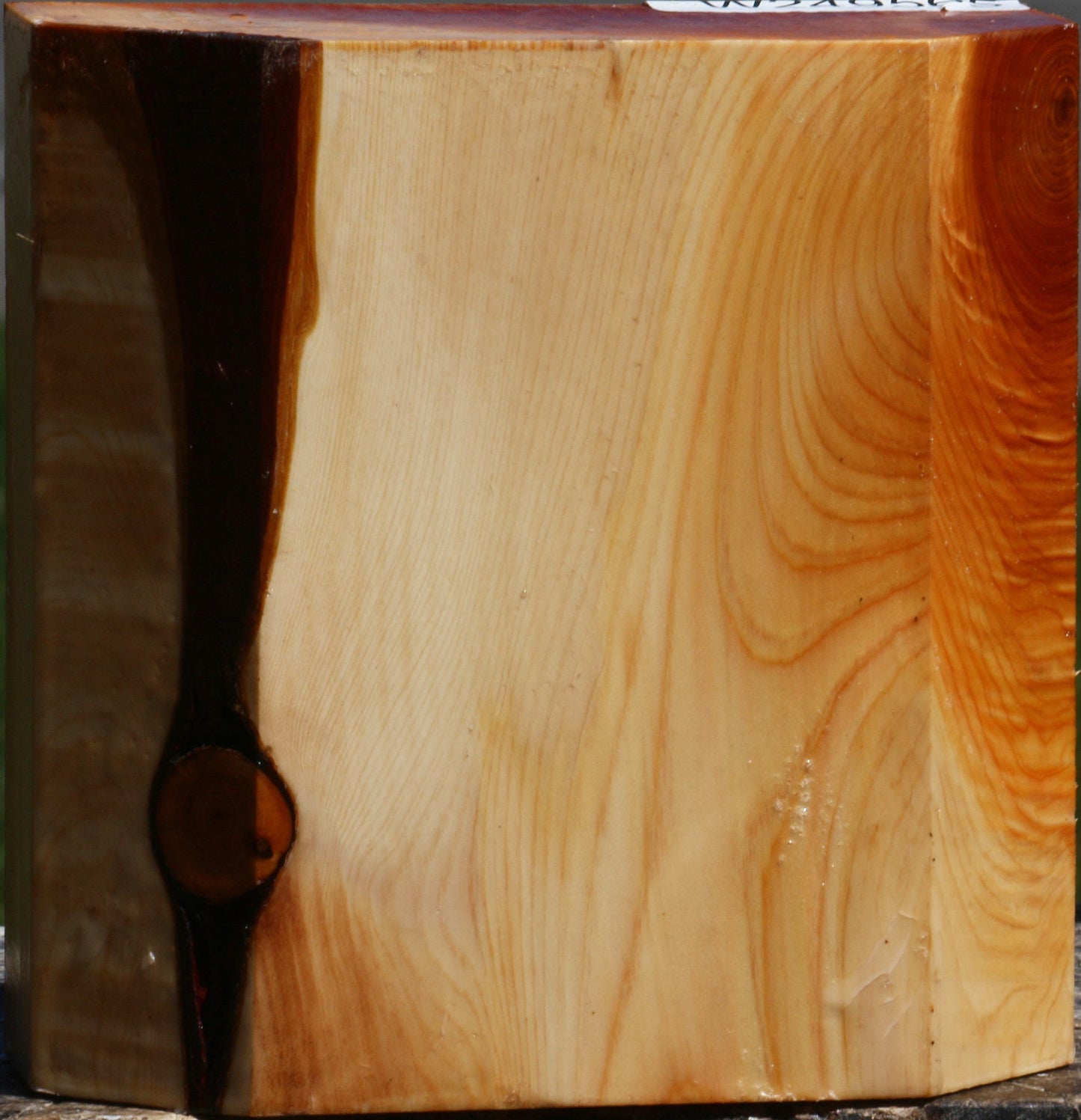 Juniper Bowl Blank
