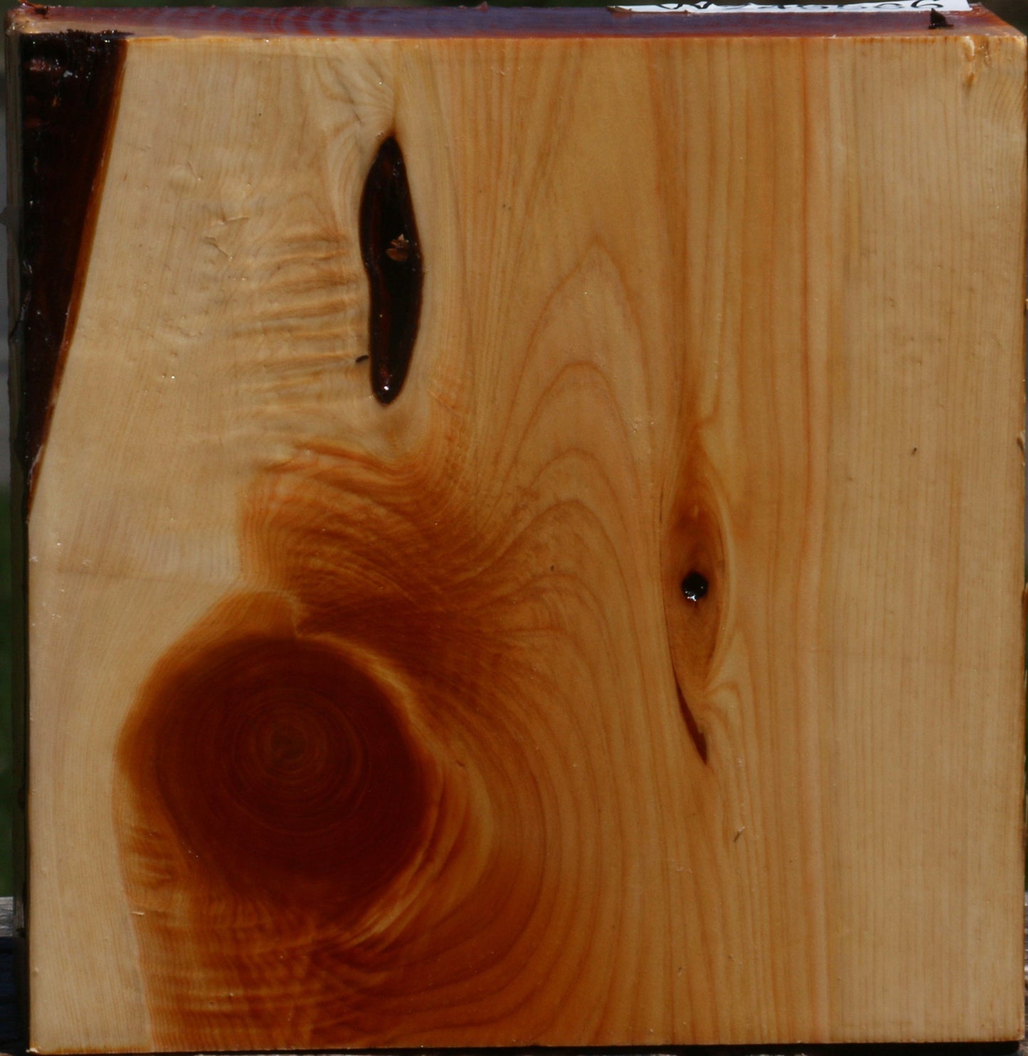 Juniper Bowl Blank