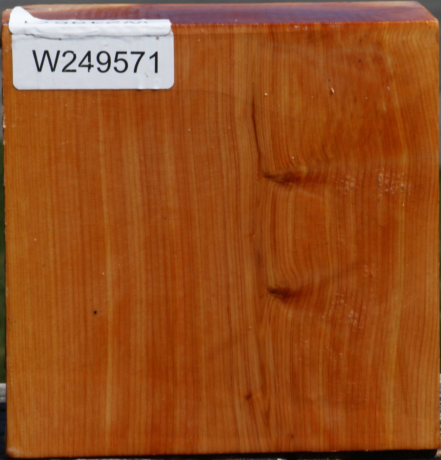 Juniper Bowl Blank