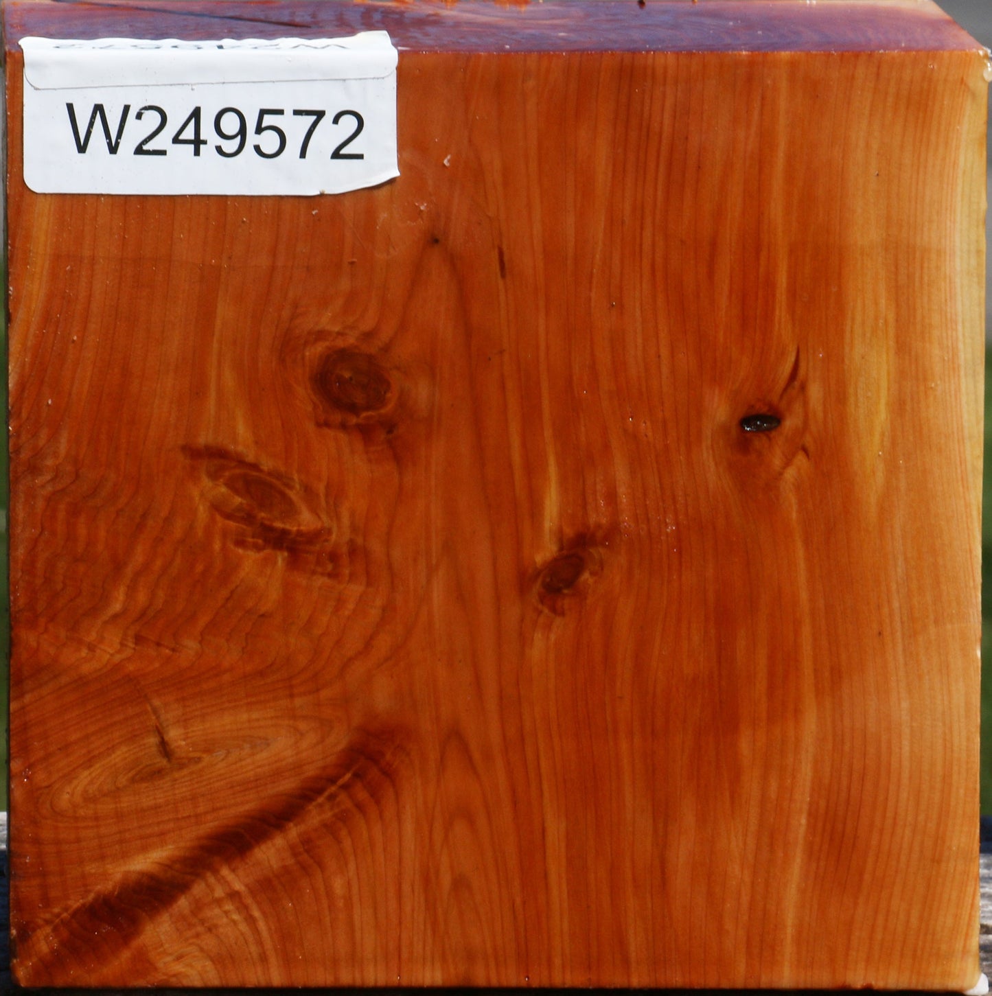 Juniper Bowl Blank