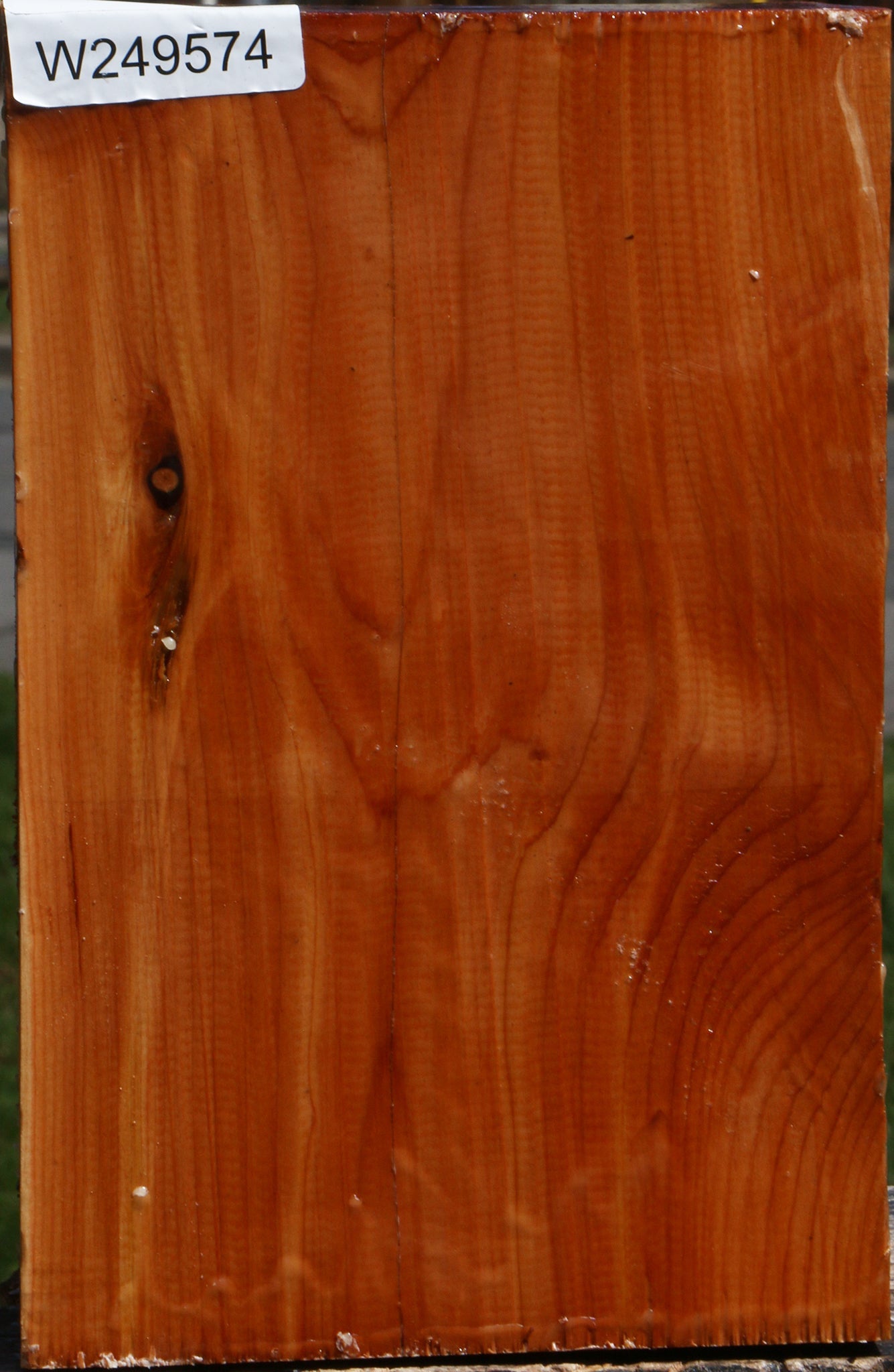 Juniper Vessel Blank