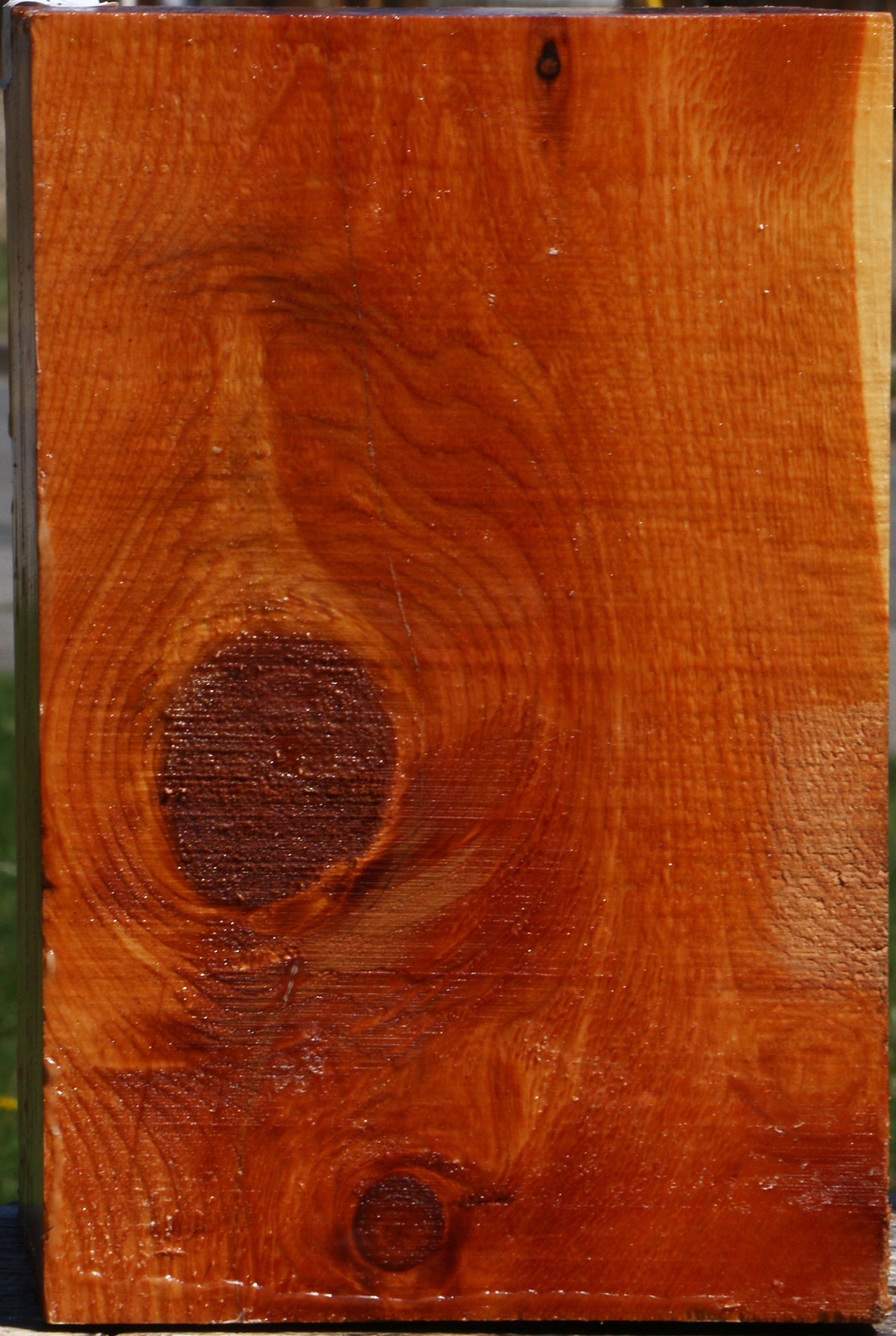 Juniper Vessel Blank