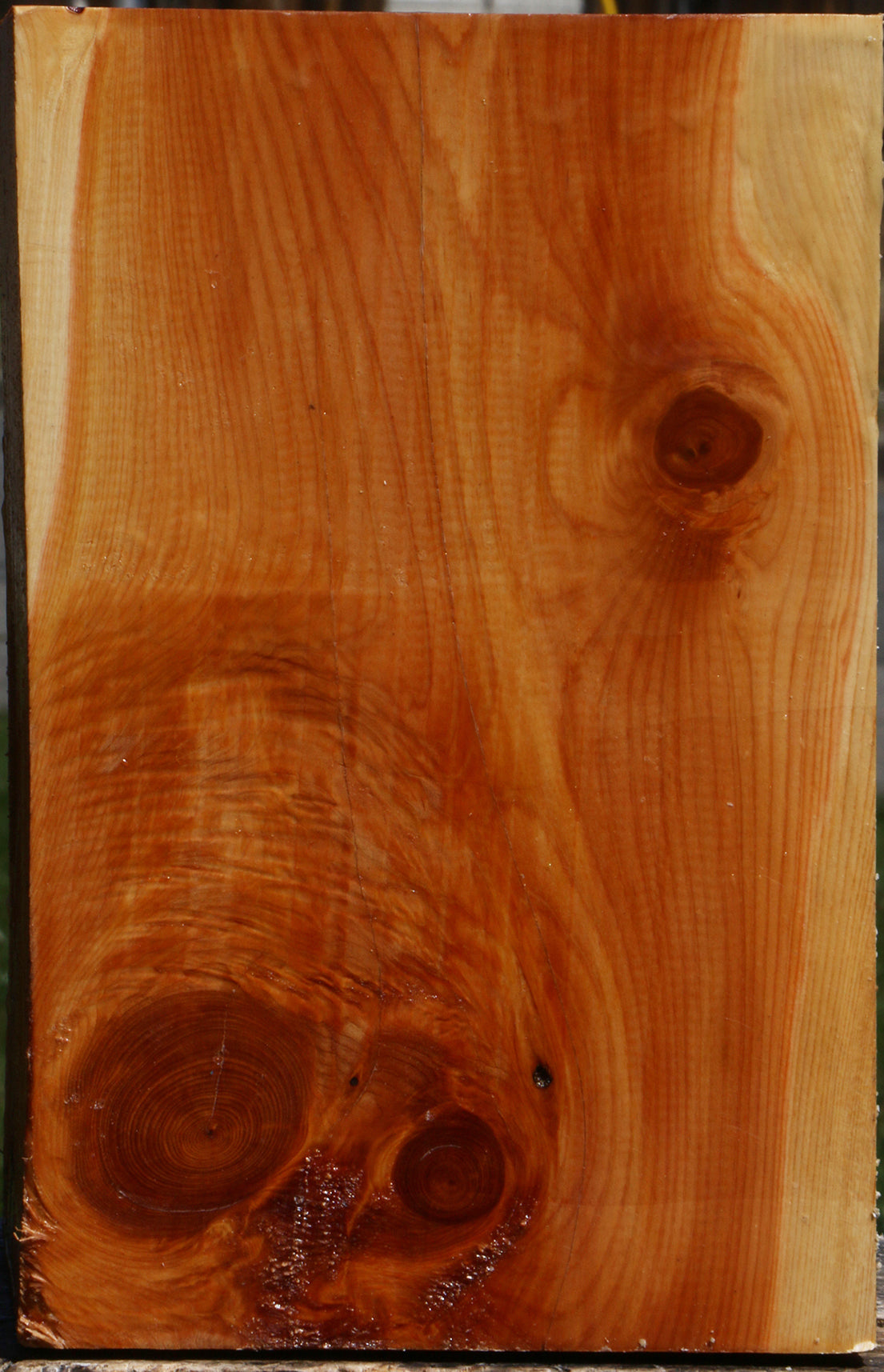Juniper Vessel Blank