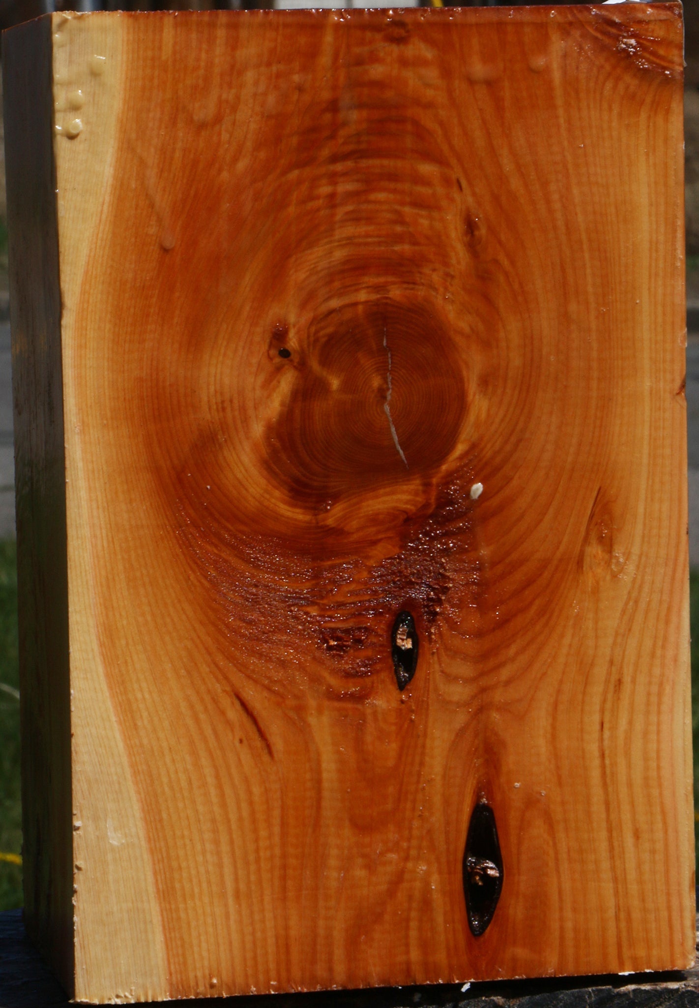Juniper Vessel Blank