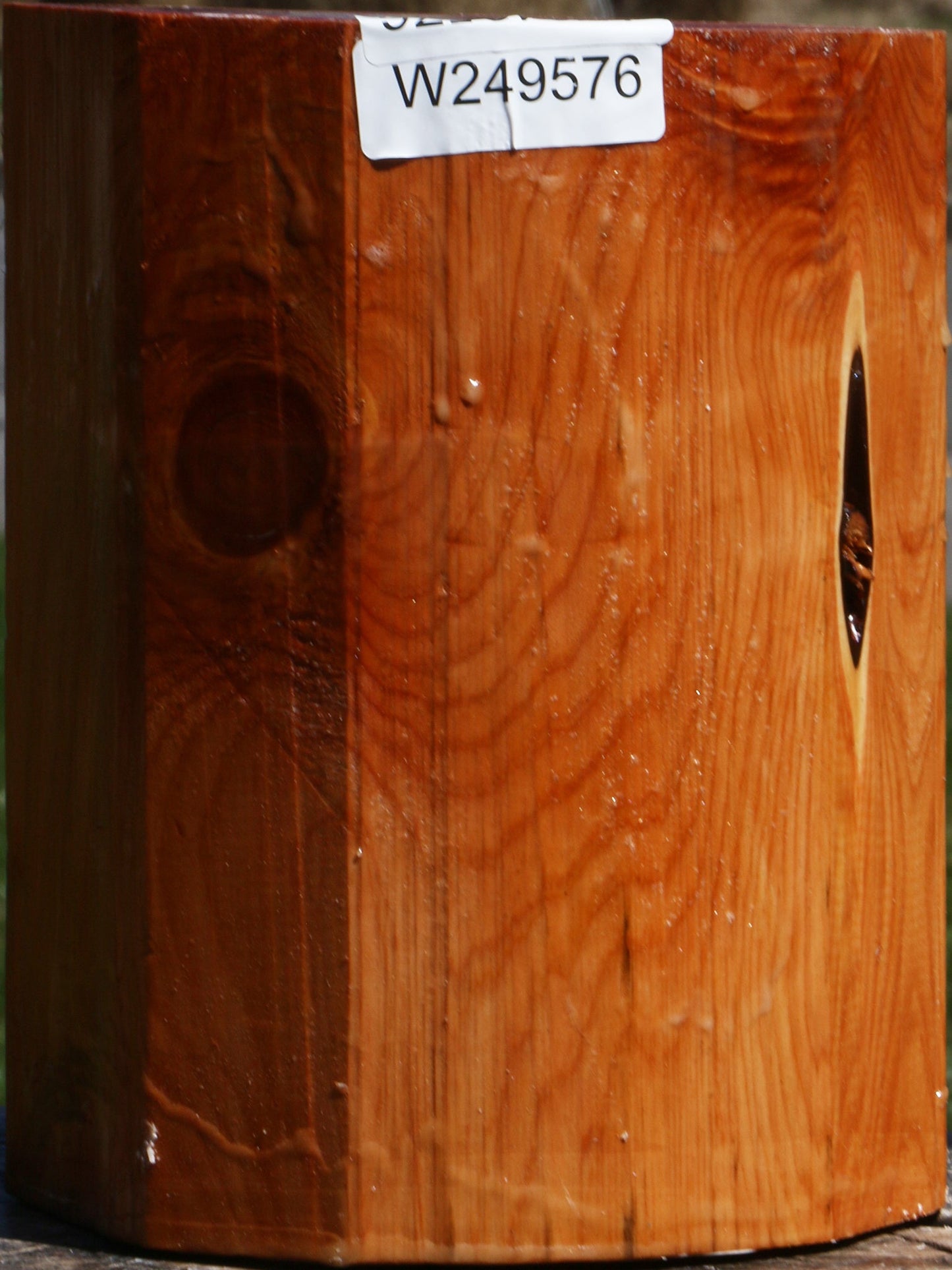 Juniper Log