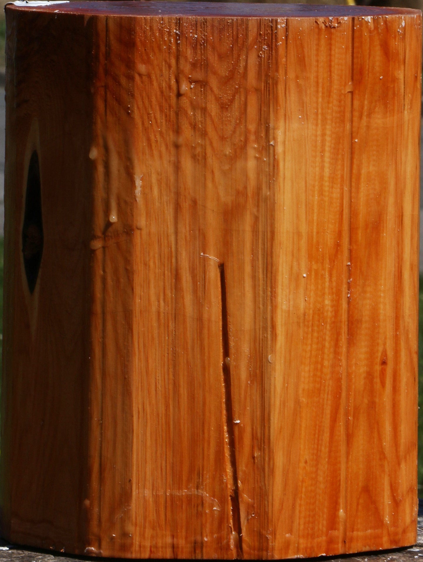 Juniper Log