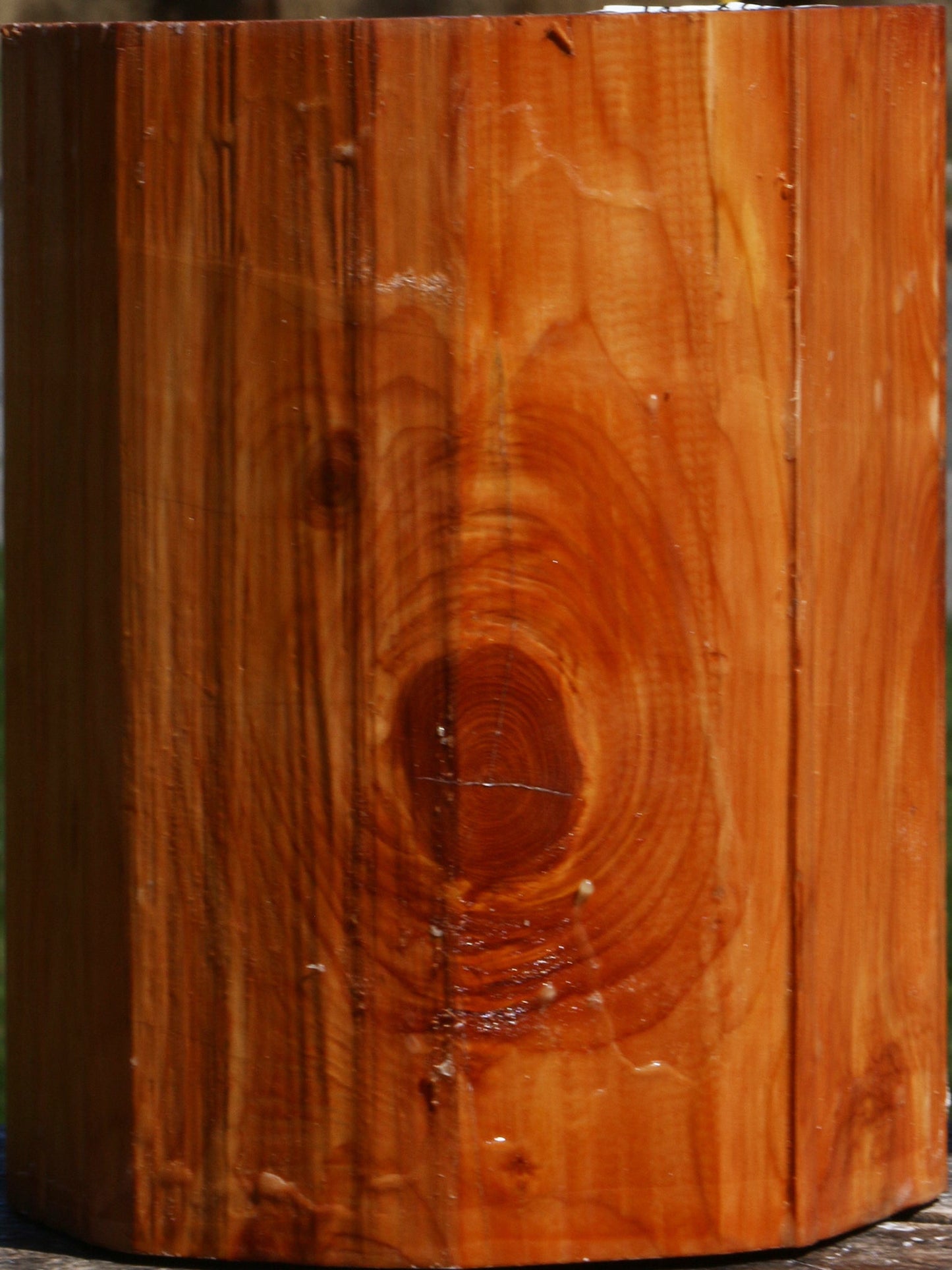 Juniper Log