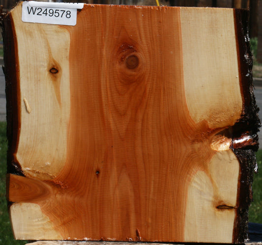 Juniper Platter Blank