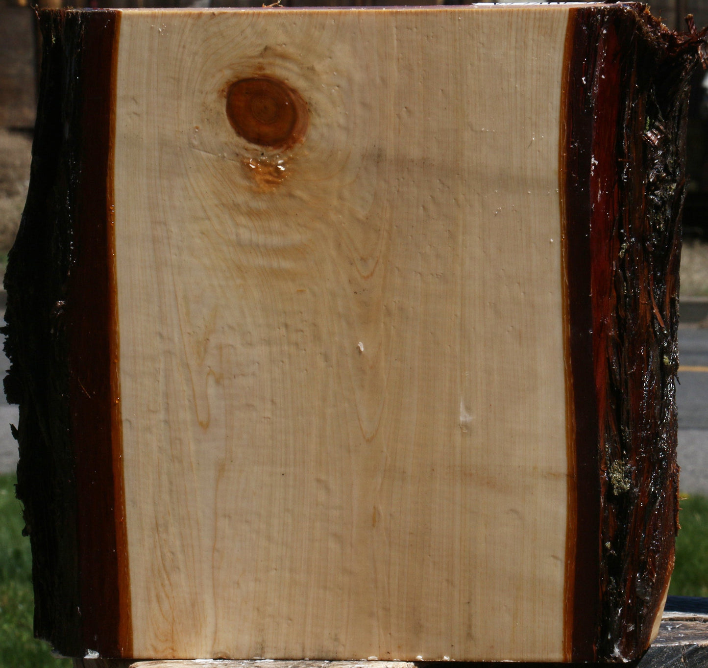 Juniper Platter Blank
