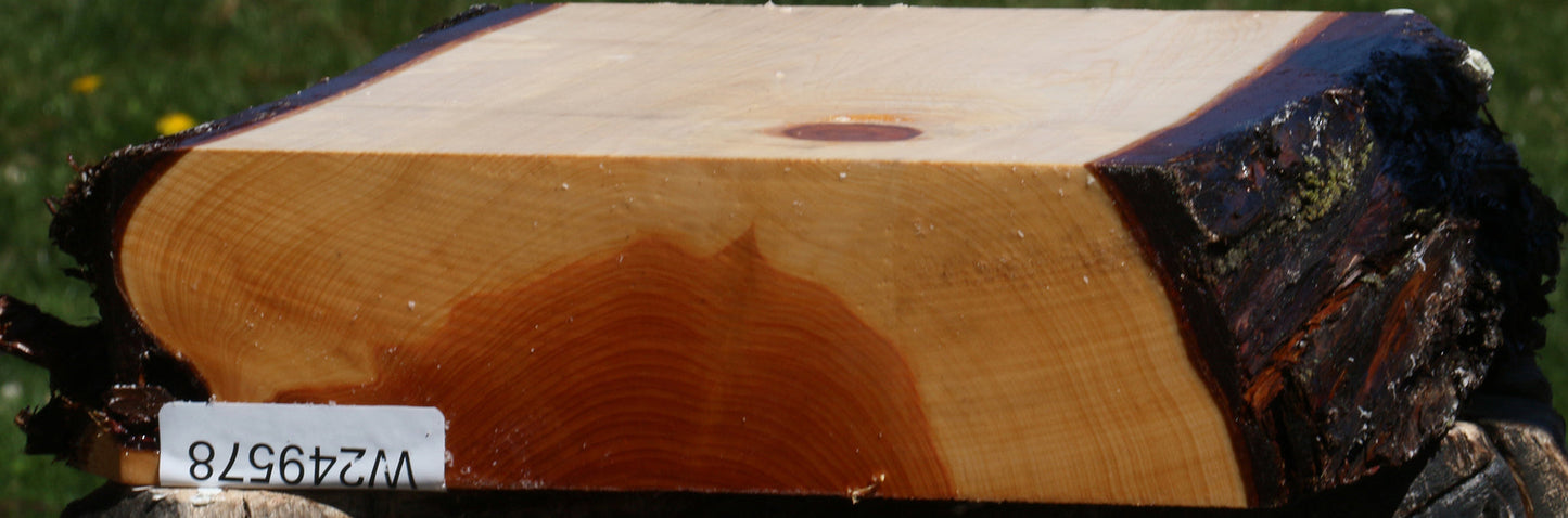 Juniper Platter Blank