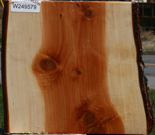 Juniper Live Edge Platter Blank