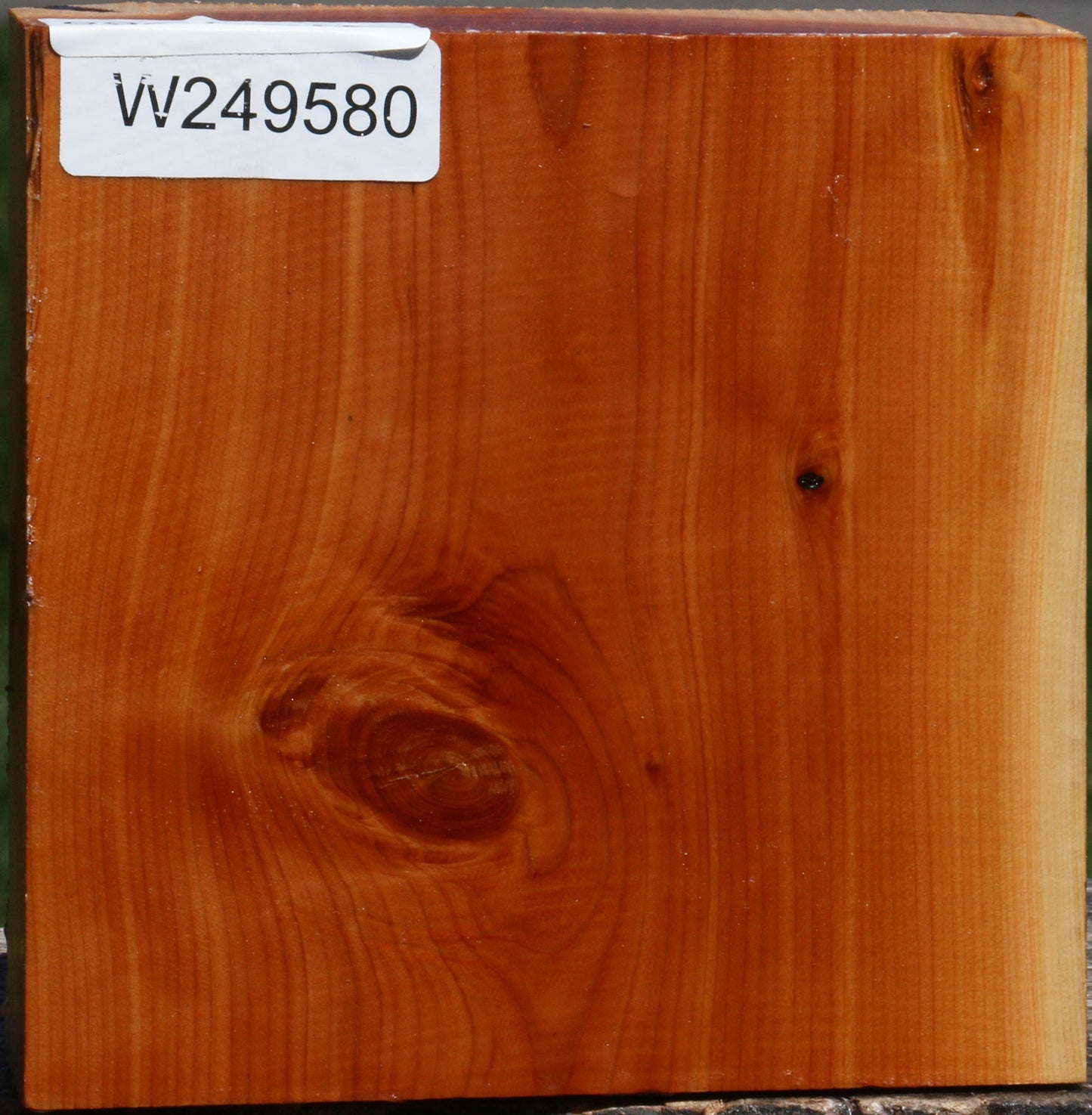 Juniper Bowl Blank