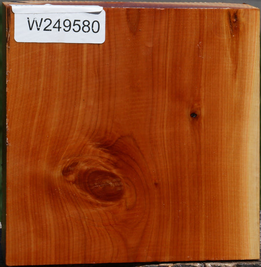 Juniper Bowl Blank