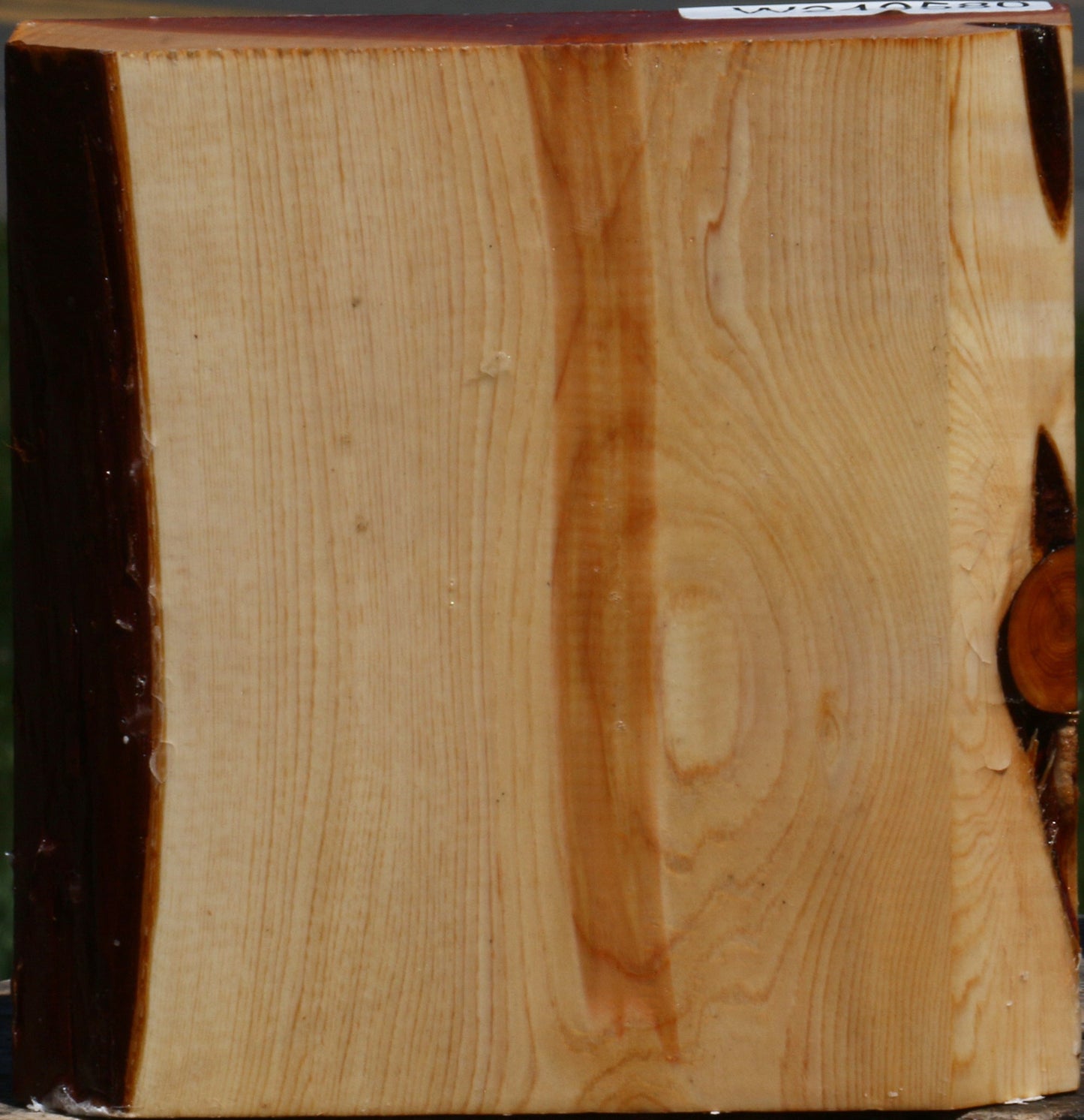 Juniper Bowl Blank
