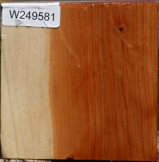 Juniper Bowl Blank