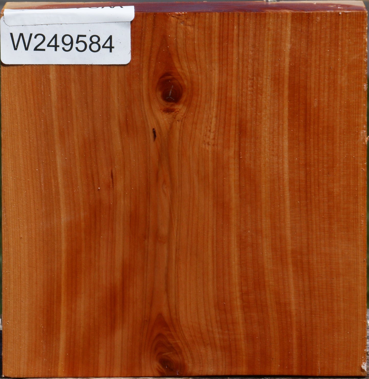 Juniper Bowl Blank