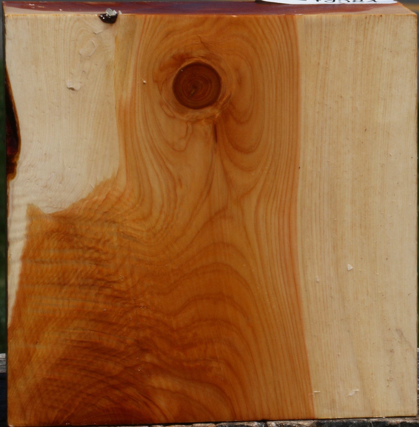 Juniper Bowl Blank