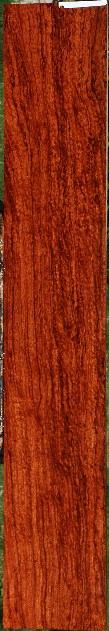 Exhibition Bubinga Instrument Micro Lumber