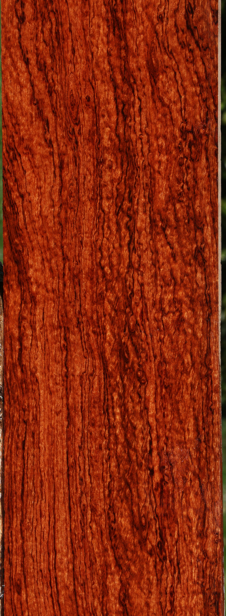 Exhibition Bubinga Instrument Micro Lumber