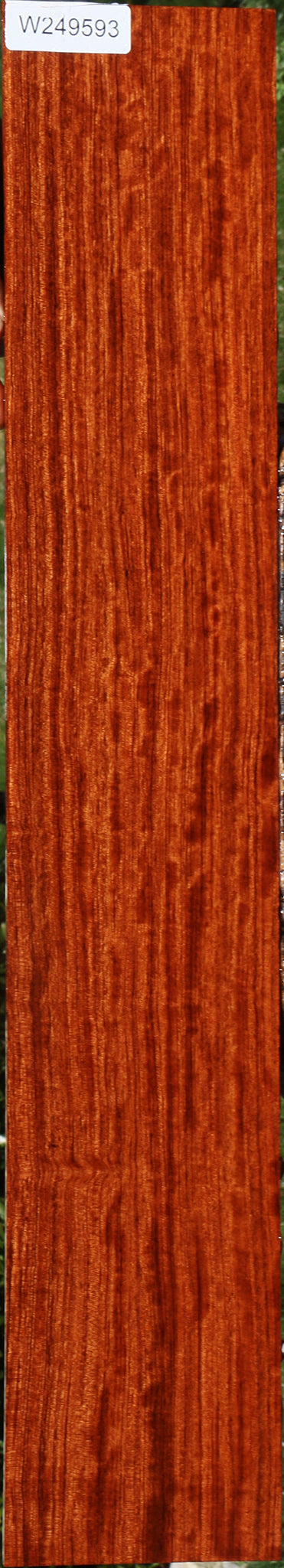 Figured Quartersawn Bubinga Micro Lumber