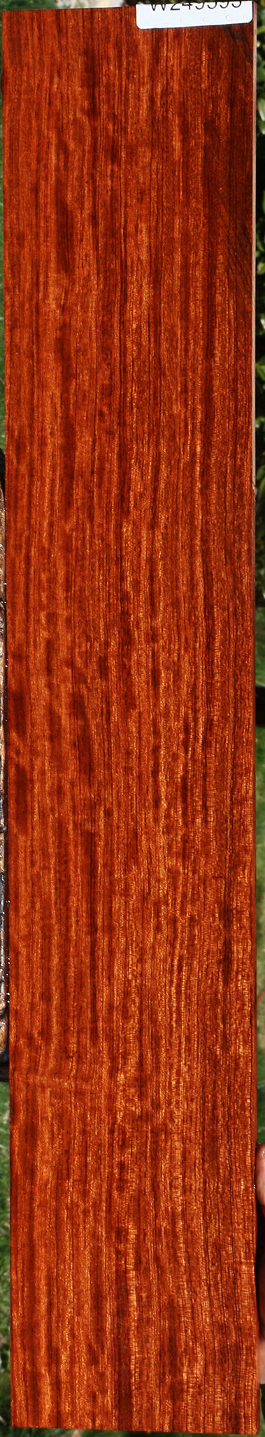 Figured Quartersawn Bubinga Micro Lumber