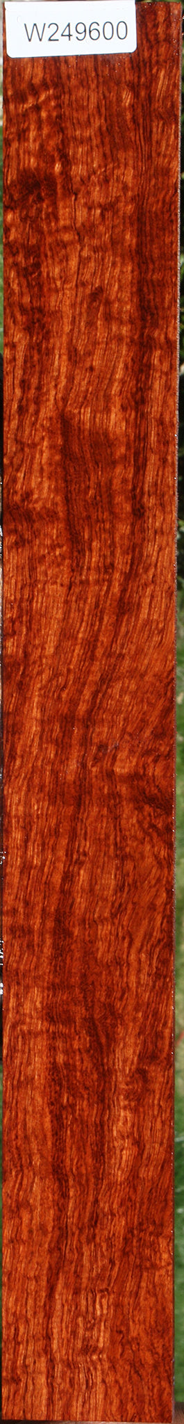 Extra Fancy Bubinga Micro Lumber