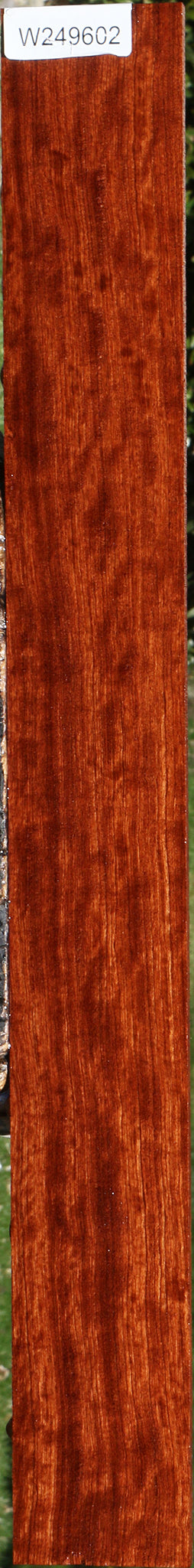 Figured Quartersawn Bubinga Micro Lumber