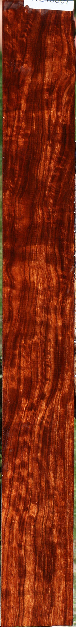Extra Fancy Bubinga Micro Lumber