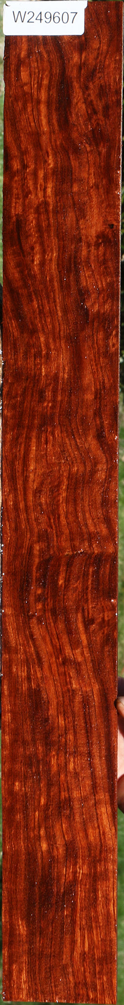 Extra Fancy Bubinga Micro Lumber