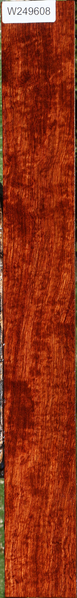 Extra Fancy Bubinga Micro Lumber