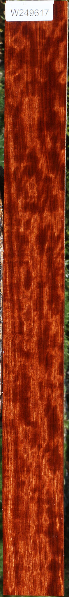 Extra Fancy Quartersawn Bubinga Micro Lumber
