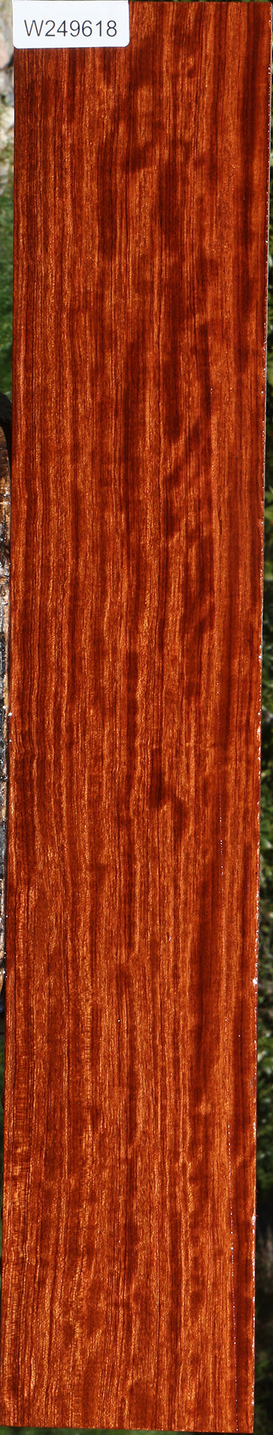 Figured Quartersawn Bubinga Micro Lumber