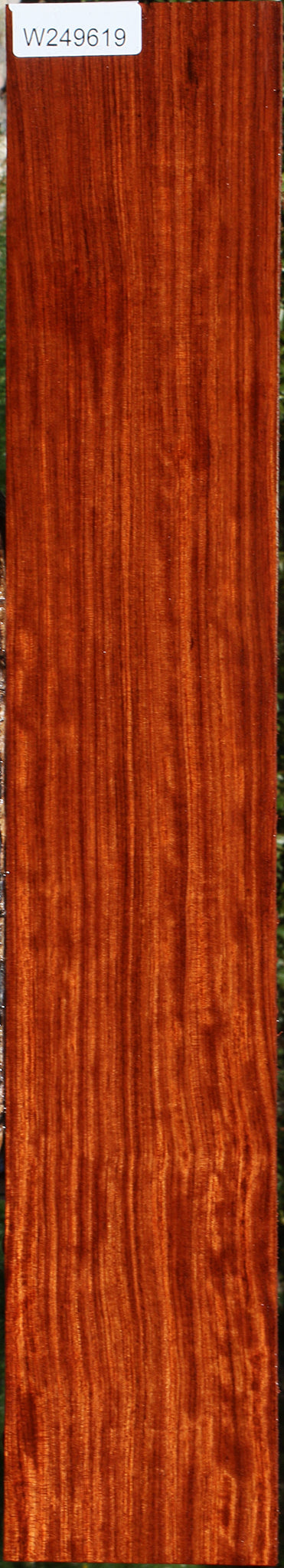 Figured Quartersawn Bubinga Micro Lumber