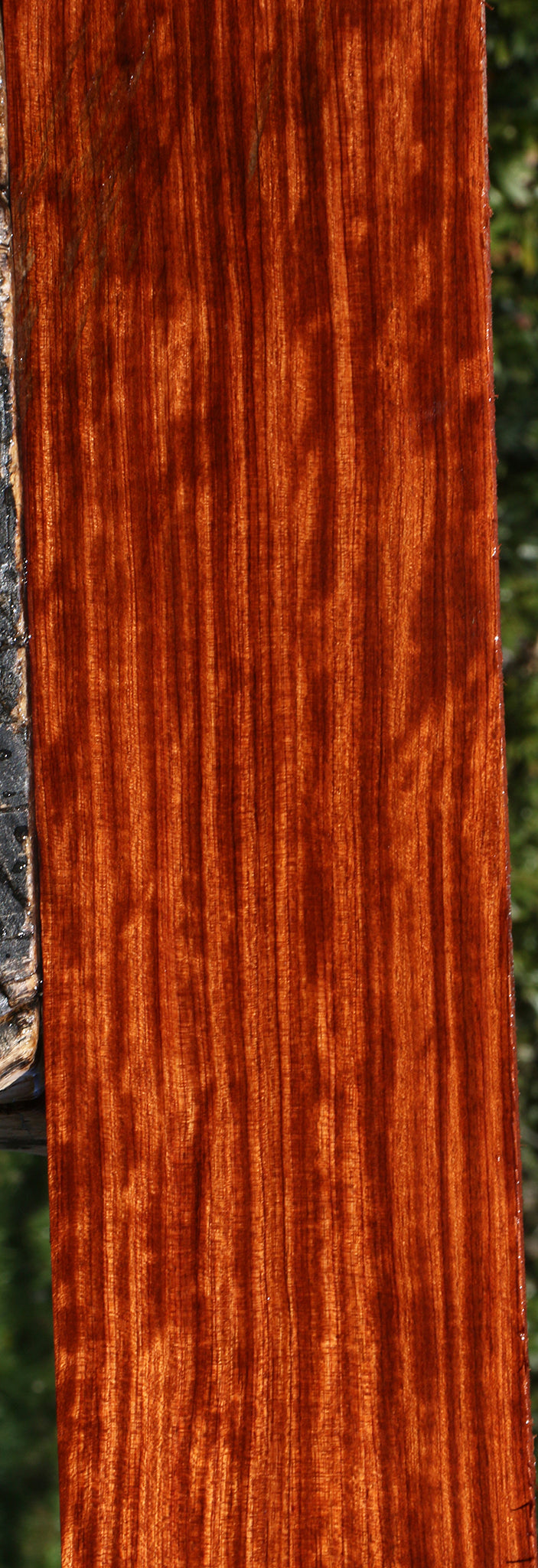 Figured Quartersawn Bubinga Micro Lumber